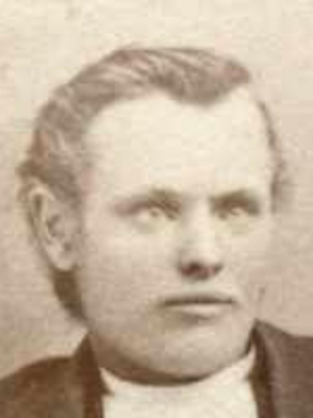 Lewis Emanuel Gerber (1839 - 1914) Profile